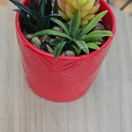 Foehren Apartment * Fohren